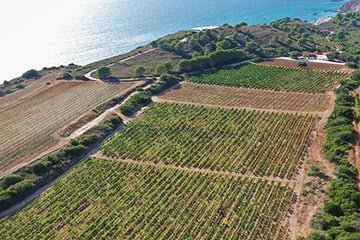 gentilini winery taxi kefalonia